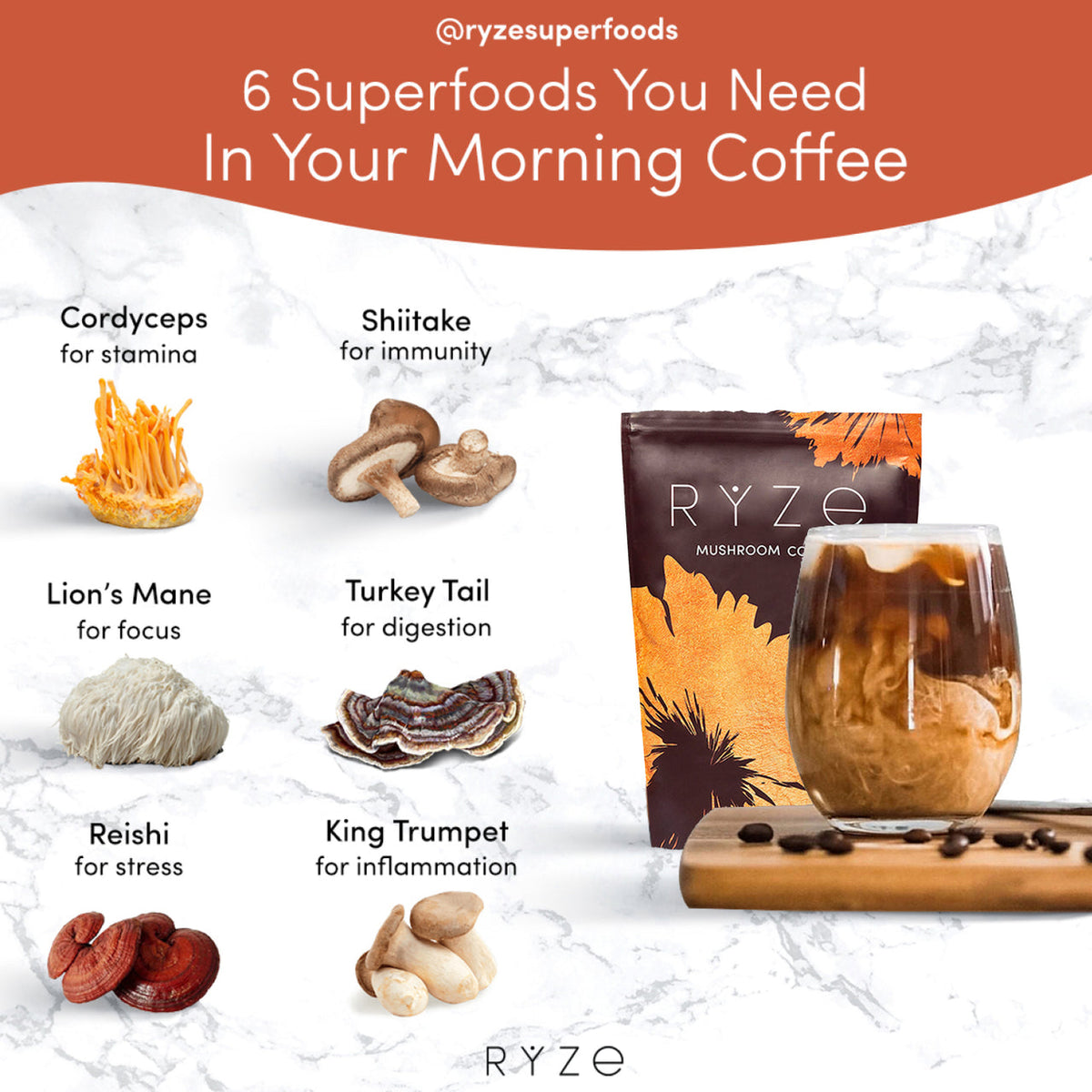 RYZE mushroom coffee ingredients