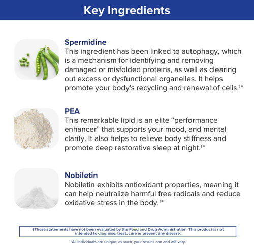 Gundry MD Bio Sync details