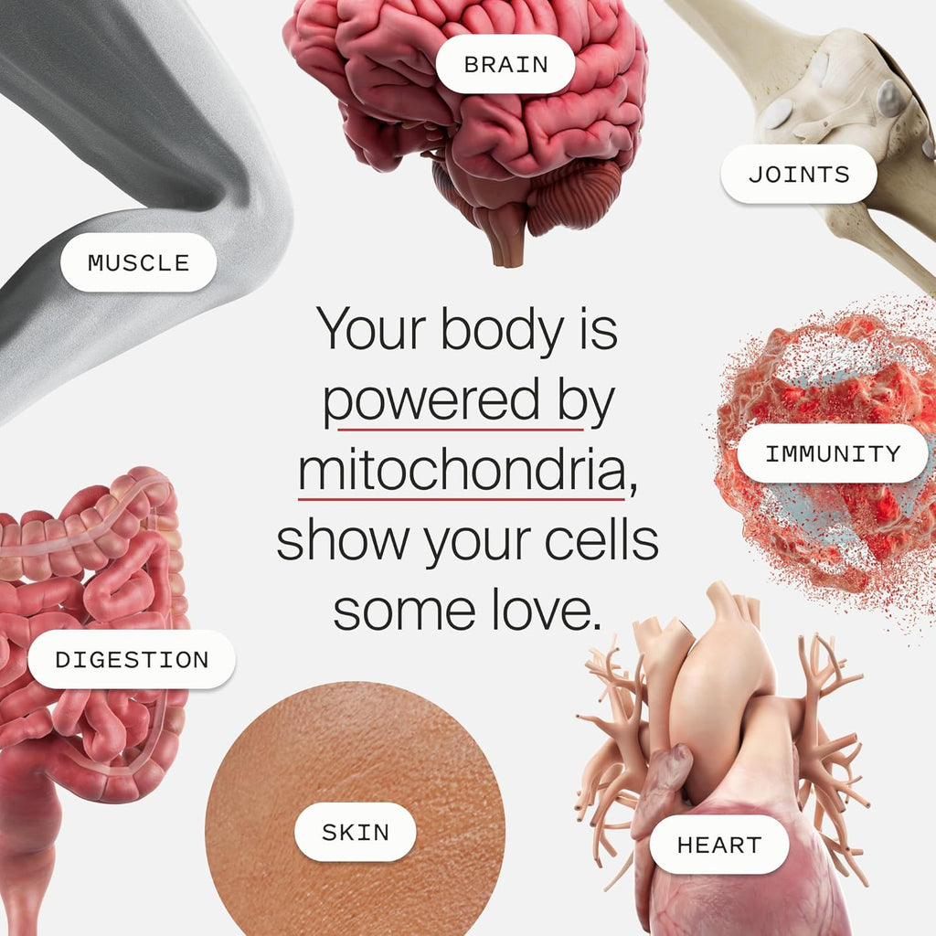 Mitopure longevity supplement details